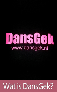 Wat is DansGek?